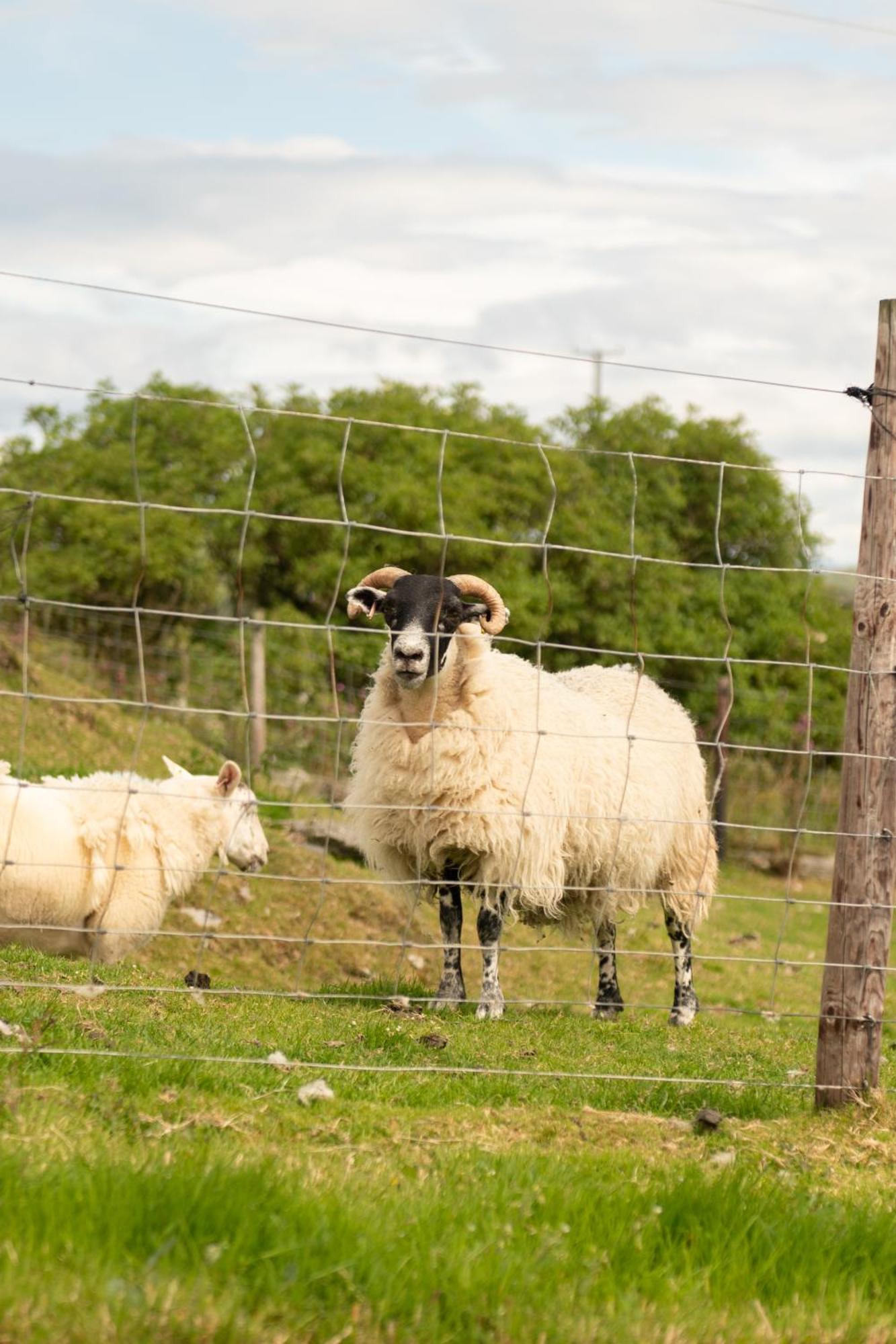 New Countryside Farm Pod On Isle Of Seil *